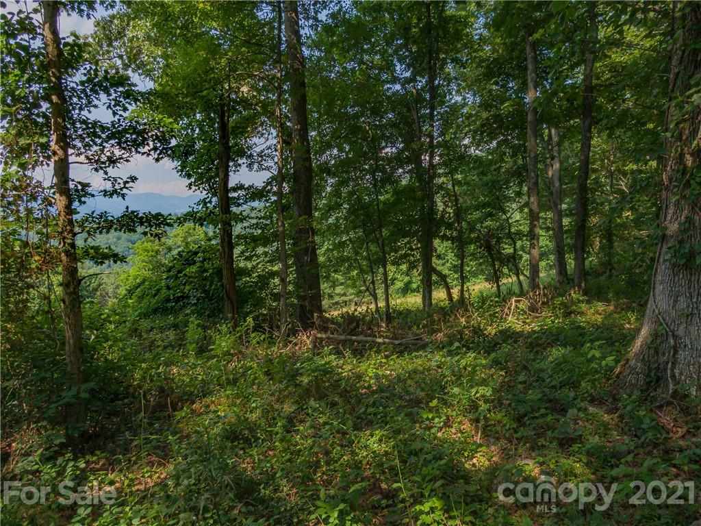 389 Winding Ridge Road, Unit 12 13 15 Marshall, NC 28753 - Photo 7 of 32 a big yard with lots of green space and trees