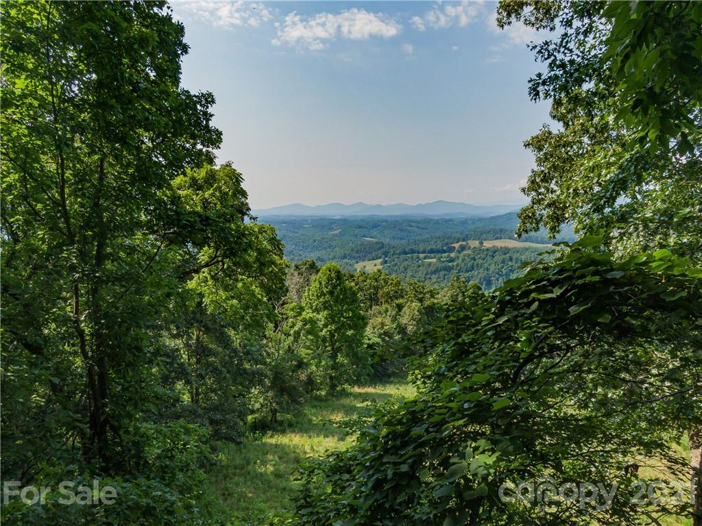 389 Winding Ridge Road, Unit 12 13 15 Marshall, NC 28753 - Photo 8 of 32 a view of a green field