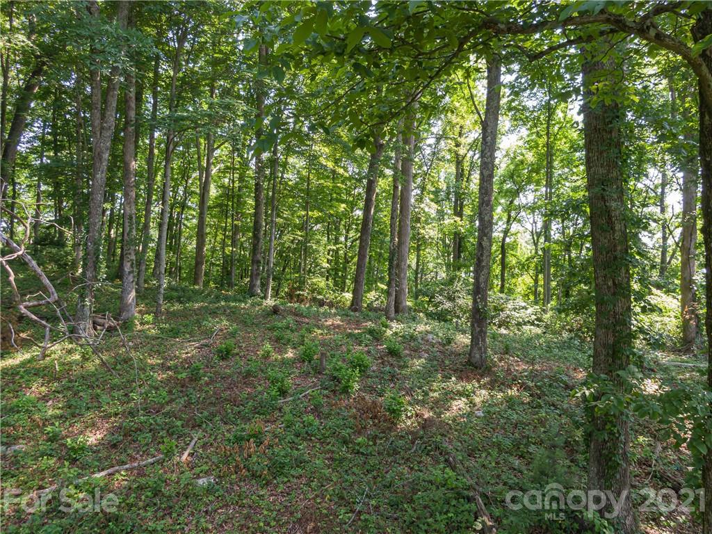 389 Winding Ridge Road, Unit 12 13 15 Marshall, NC 28753 - Photo 9 of 32 a view of outdoor space and green space