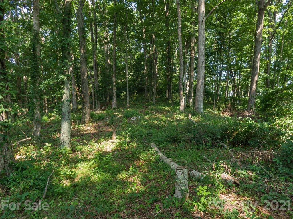 389 Winding Ridge Road, Unit 12 13 15 Marshall, NC 28753 - Photo 10 of 32 a view of outdoor space and green space