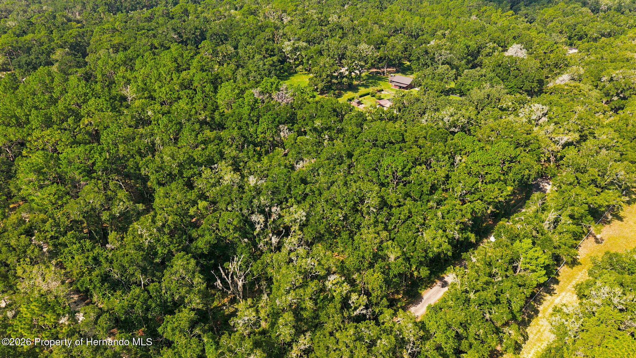0 Lonesome Road Brooksville, FL 34601 - Photo 6 of 11 Gallery Image 6