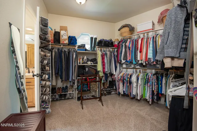 a view of a backyard with plants and swimming pool