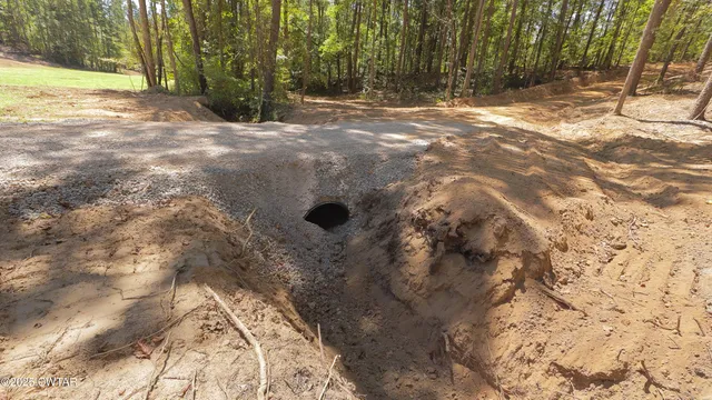 a view of backyard with green space