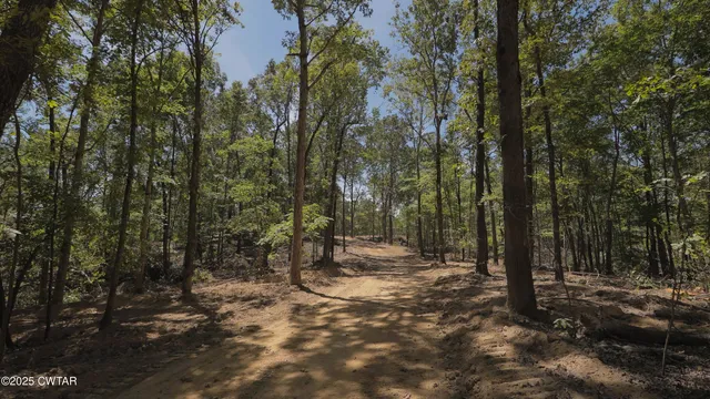 a view of outdoor space with lots of trees