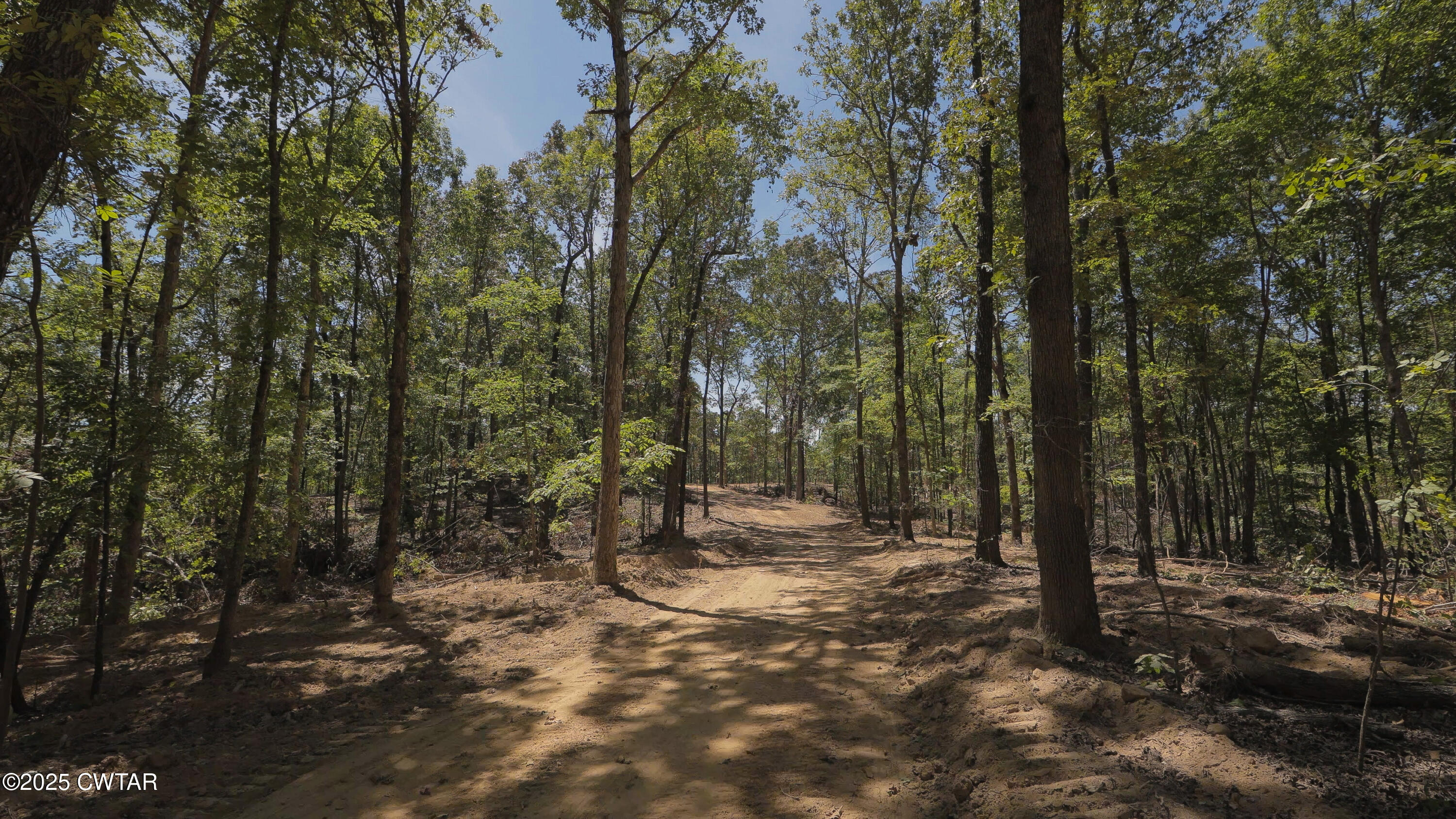 2114 Eldie Foster Road Pocahontas, TN 38061 - Photo 12 of 16 a view of outdoor space with lots of trees