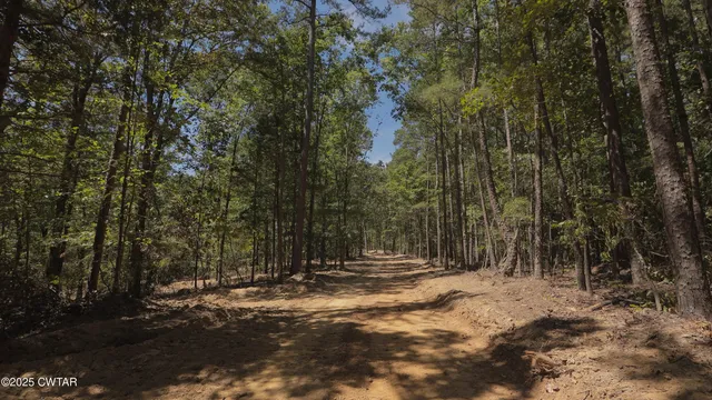 a view of outdoor space with trees