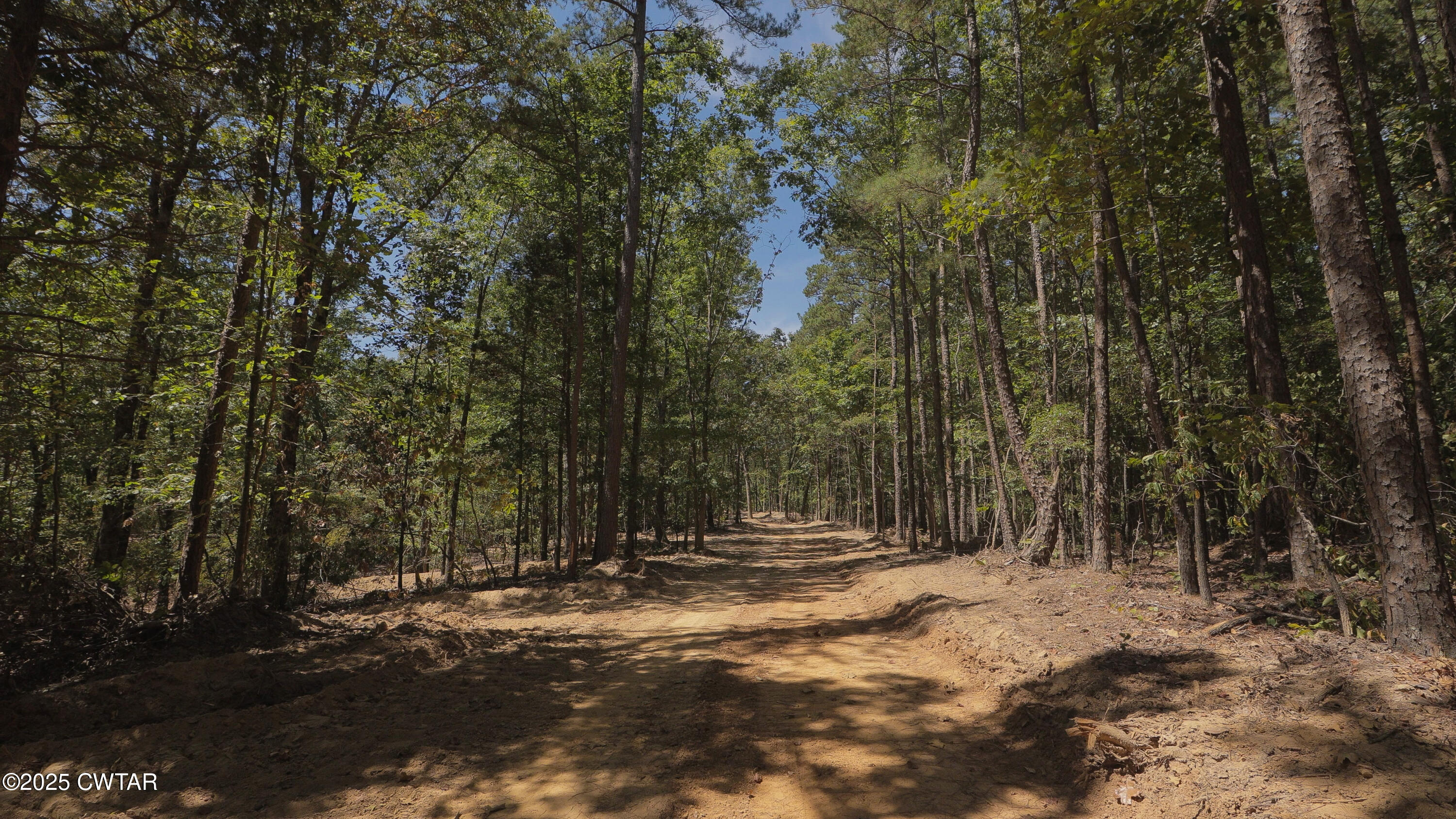 2114 Eldie Foster Road Pocahontas, TN 38061 - Photo 13 of 16 a view of outdoor space with trees