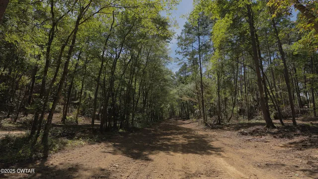 a view of backyard with green space