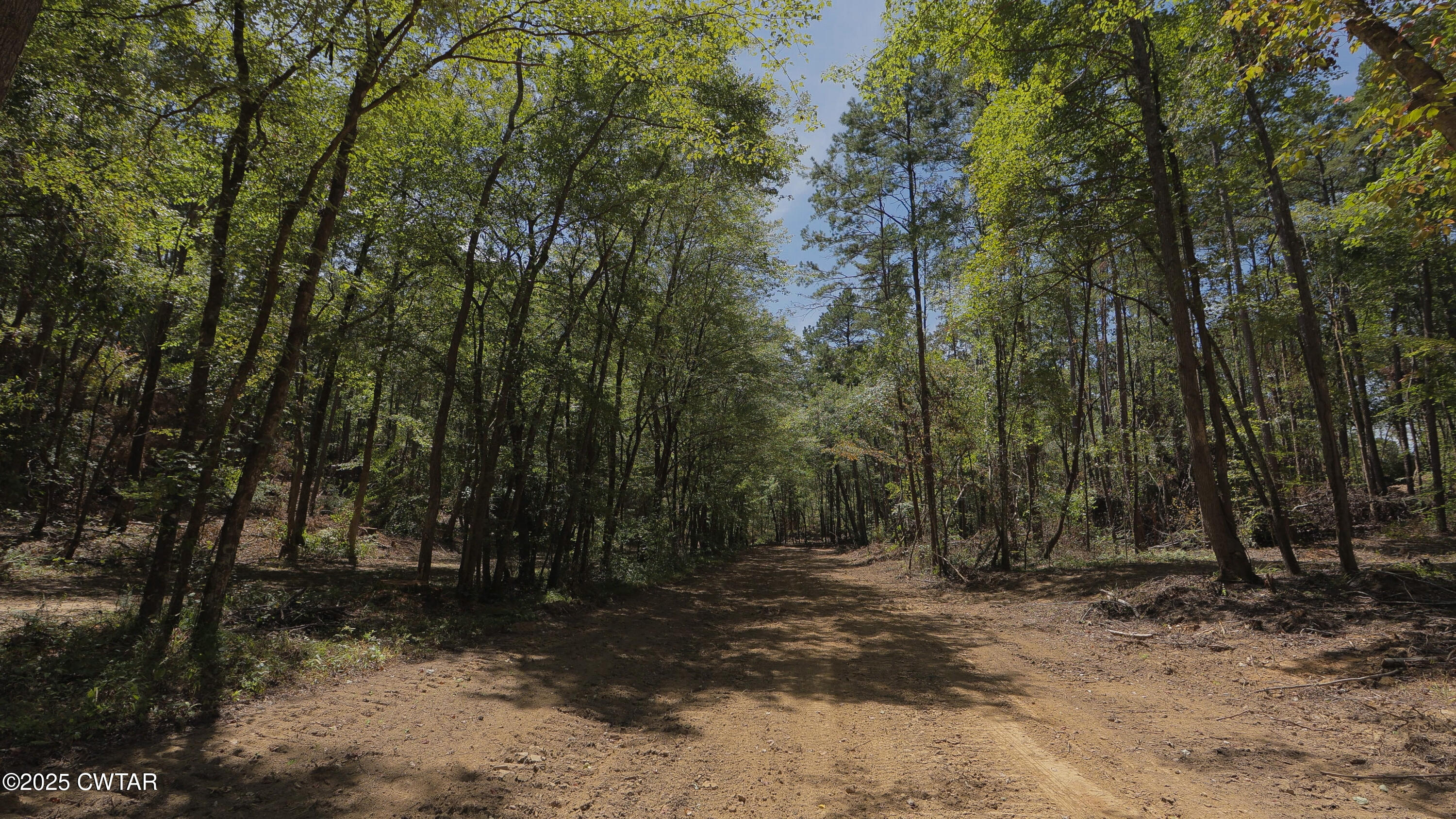 2114 Eldie Foster Road Pocahontas, TN 38061 - Photo 14 of 16 a view of backyard with green space