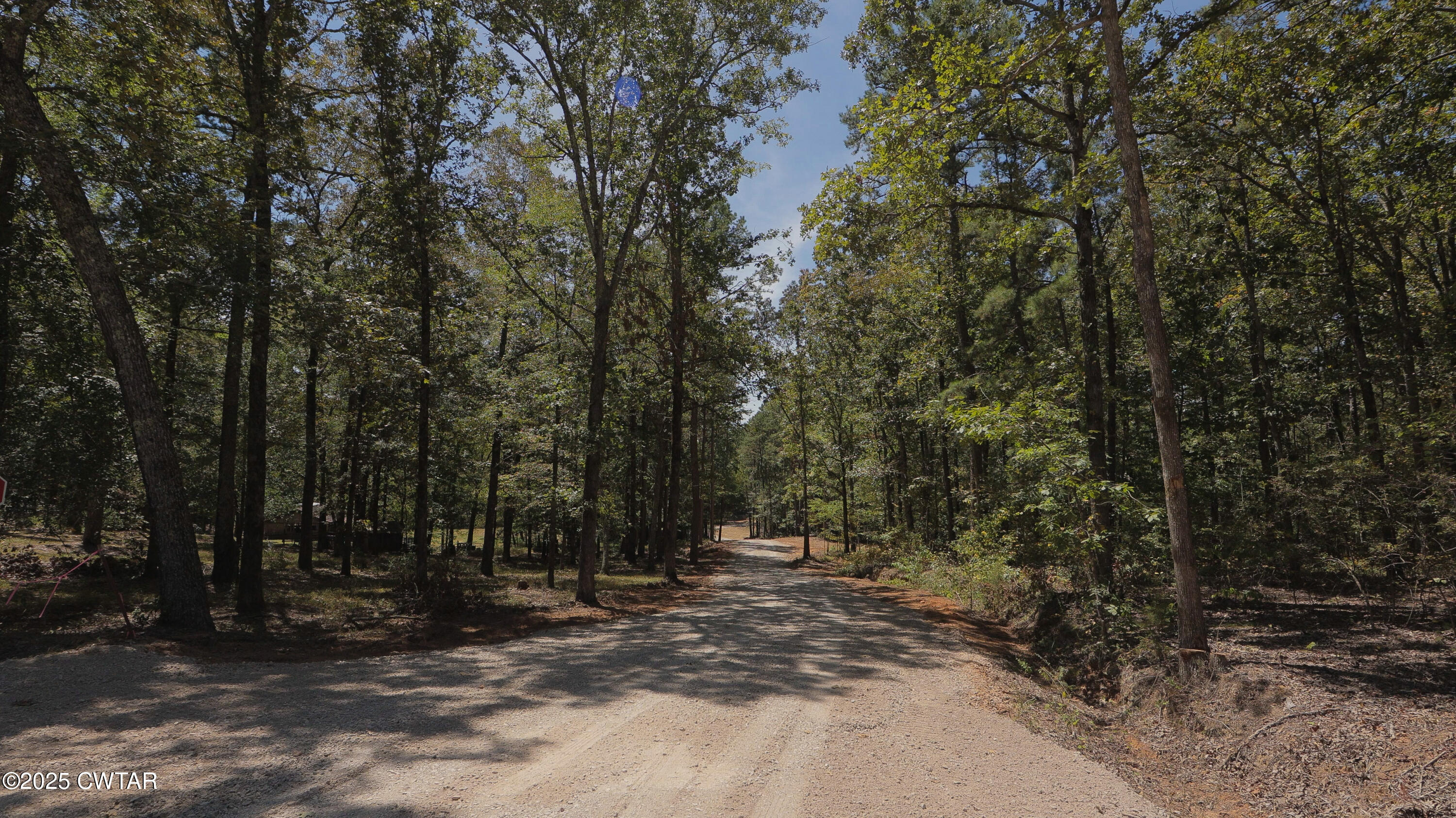 2114 Eldie Foster Road Pocahontas, TN 38061 - Photo 15 of 16 a view of a forest with trees in the background