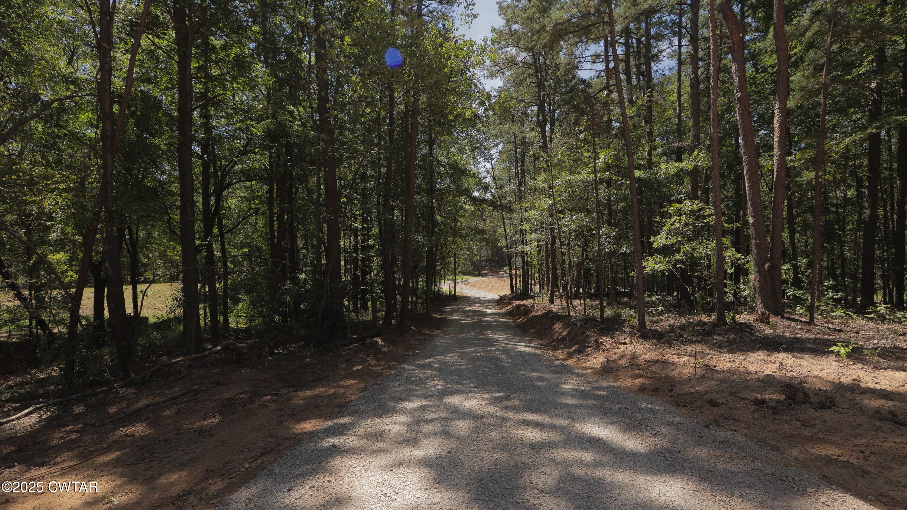2114 Eldie Foster Road Pocahontas, TN 38061 - Photo 2 of 16 a view of a forest with trees in the background