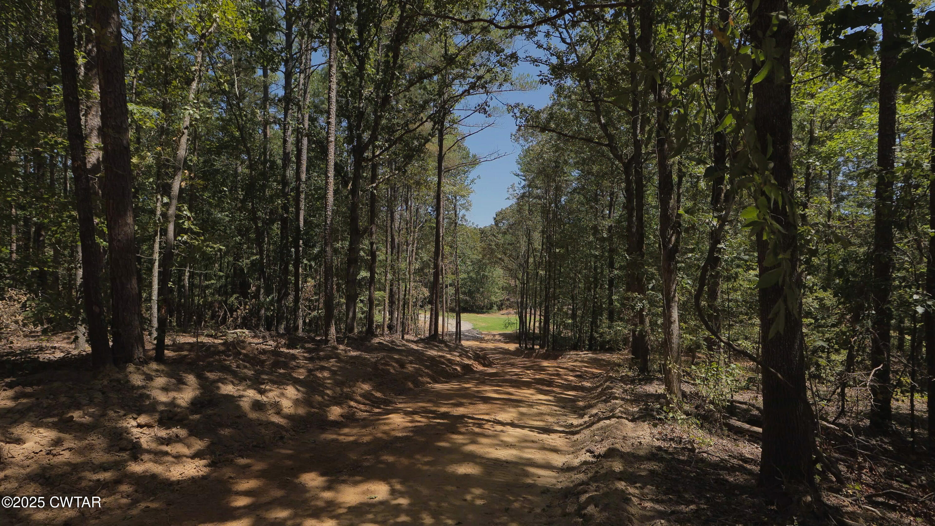 2114 Eldie Foster Road Pocahontas, TN 38061 - Photo 3 of 16 a view of outdoor space with green space