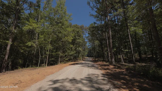 a view of outdoor space with trees