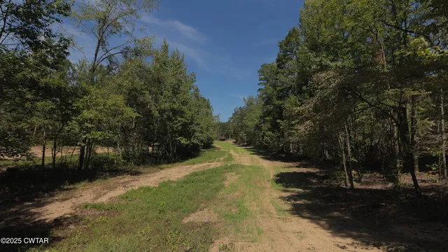 a view of a large yard with lots of green space
