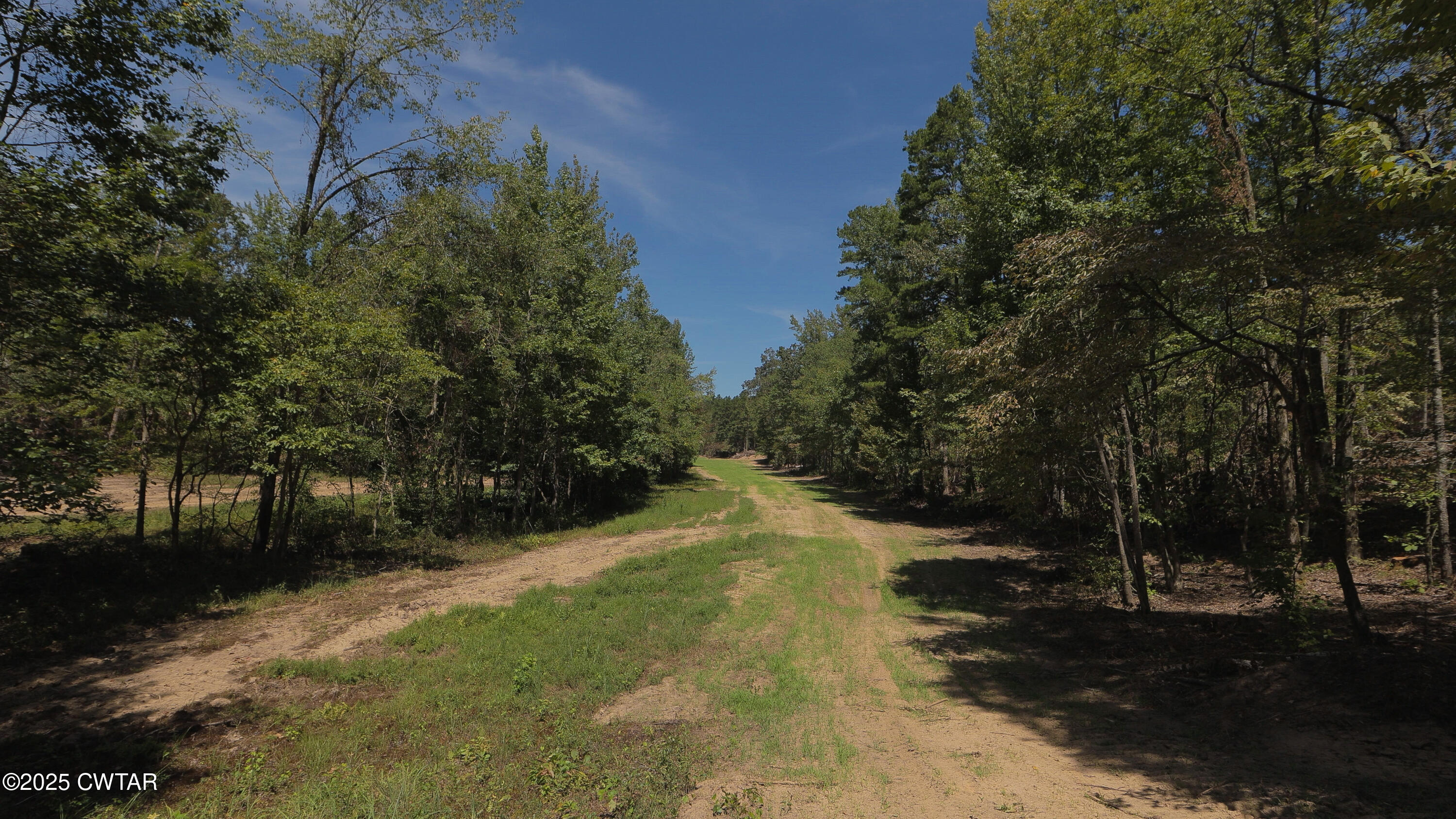 2114 Eldie Foster Road Pocahontas, TN 38061 - Photo 6 of 16 a view of a large yard with lots of green space
