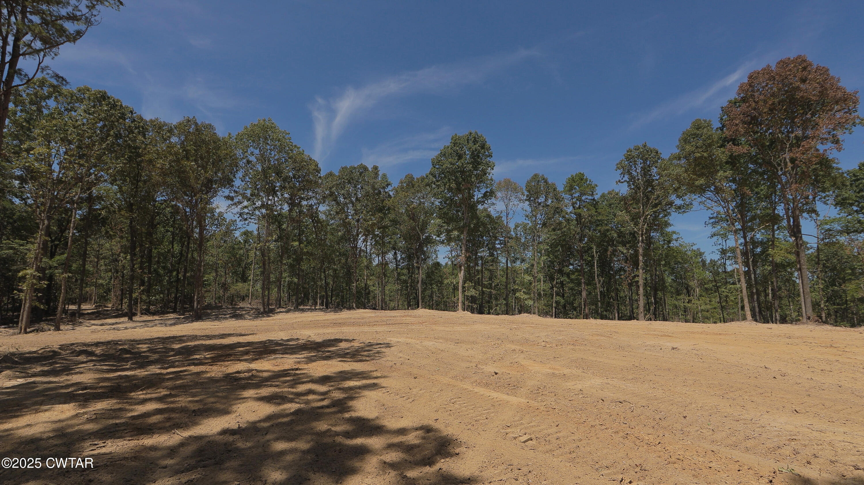 2114 Eldie Foster Road Pocahontas, TN 38061 - Photo 7 of 16 a view of road with trees