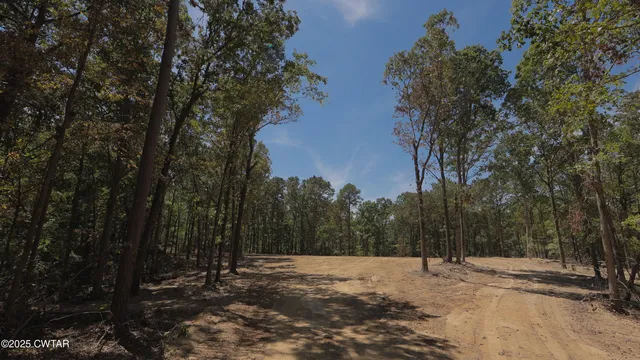 a view of a yard with trees