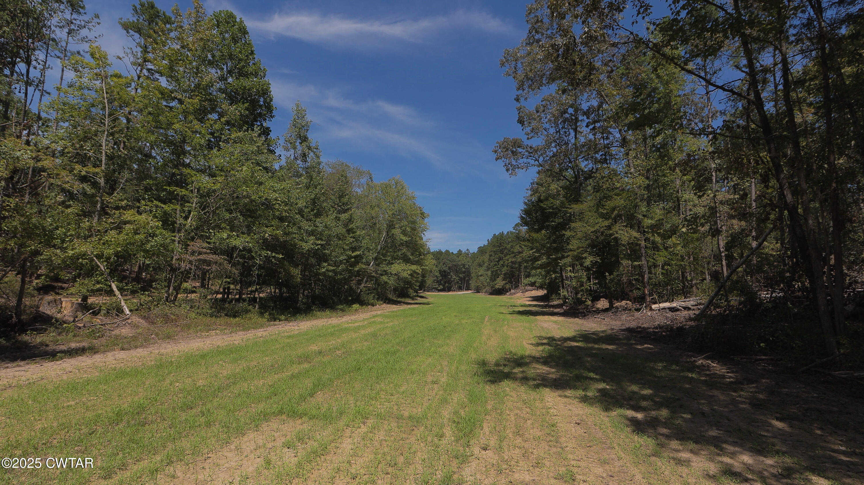 2114 Eldie Foster Road Pocahontas, TN 38061 - Photo 9 of 16 a view of grassy field with trees