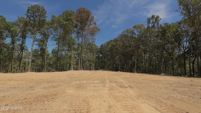 a view of side of a snow with trees in the background