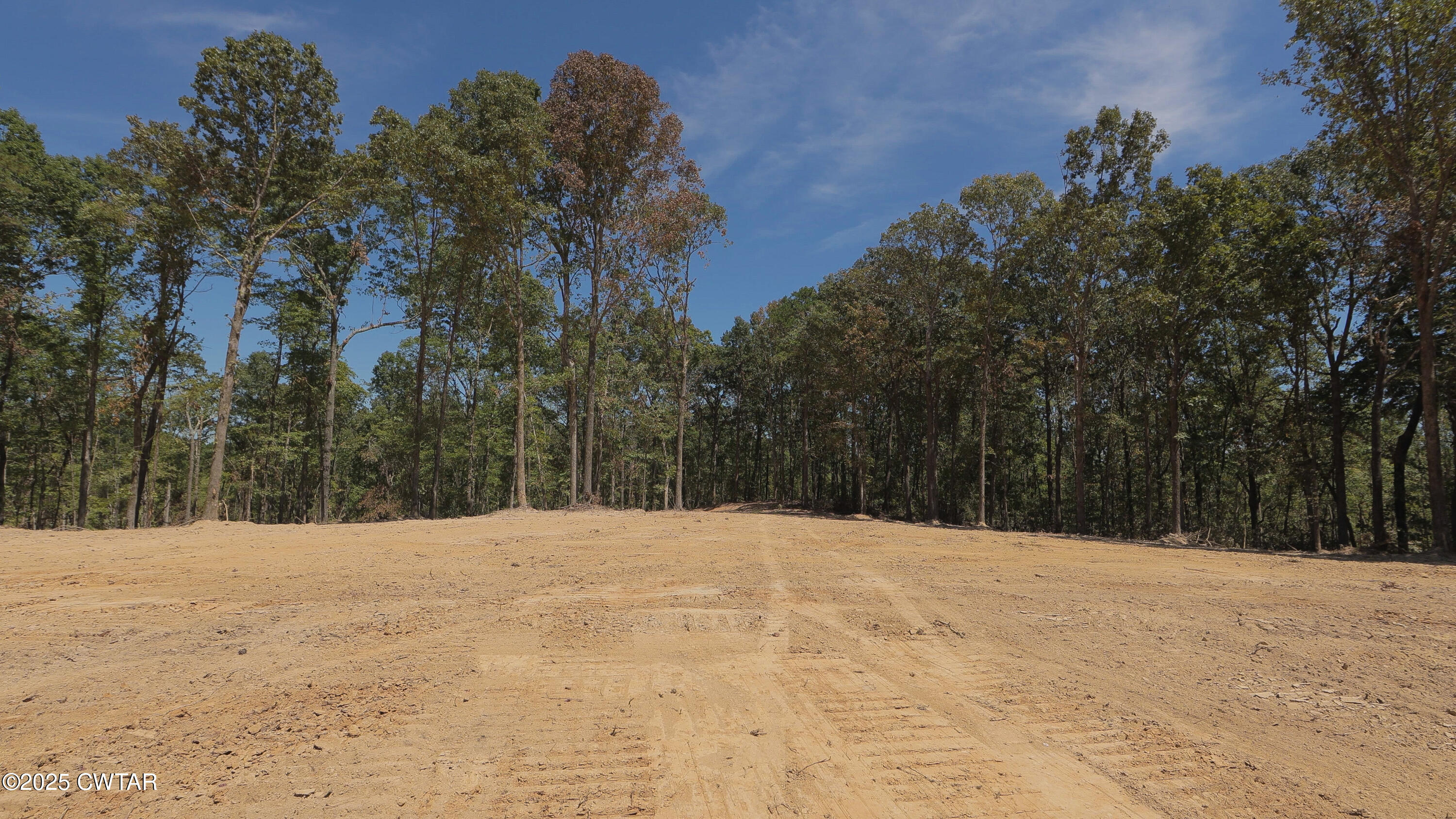 2114 Eldie Foster Road Pocahontas, TN 38061 - Photo 10 of 16 a view of side of a snow with trees in the background