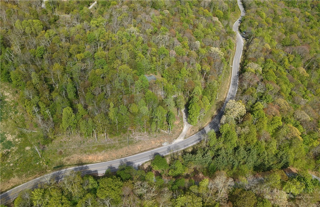 3043 Junaluska Road Boone, NC 28607 - Photo 48 of 49 a view of a forest with a tree