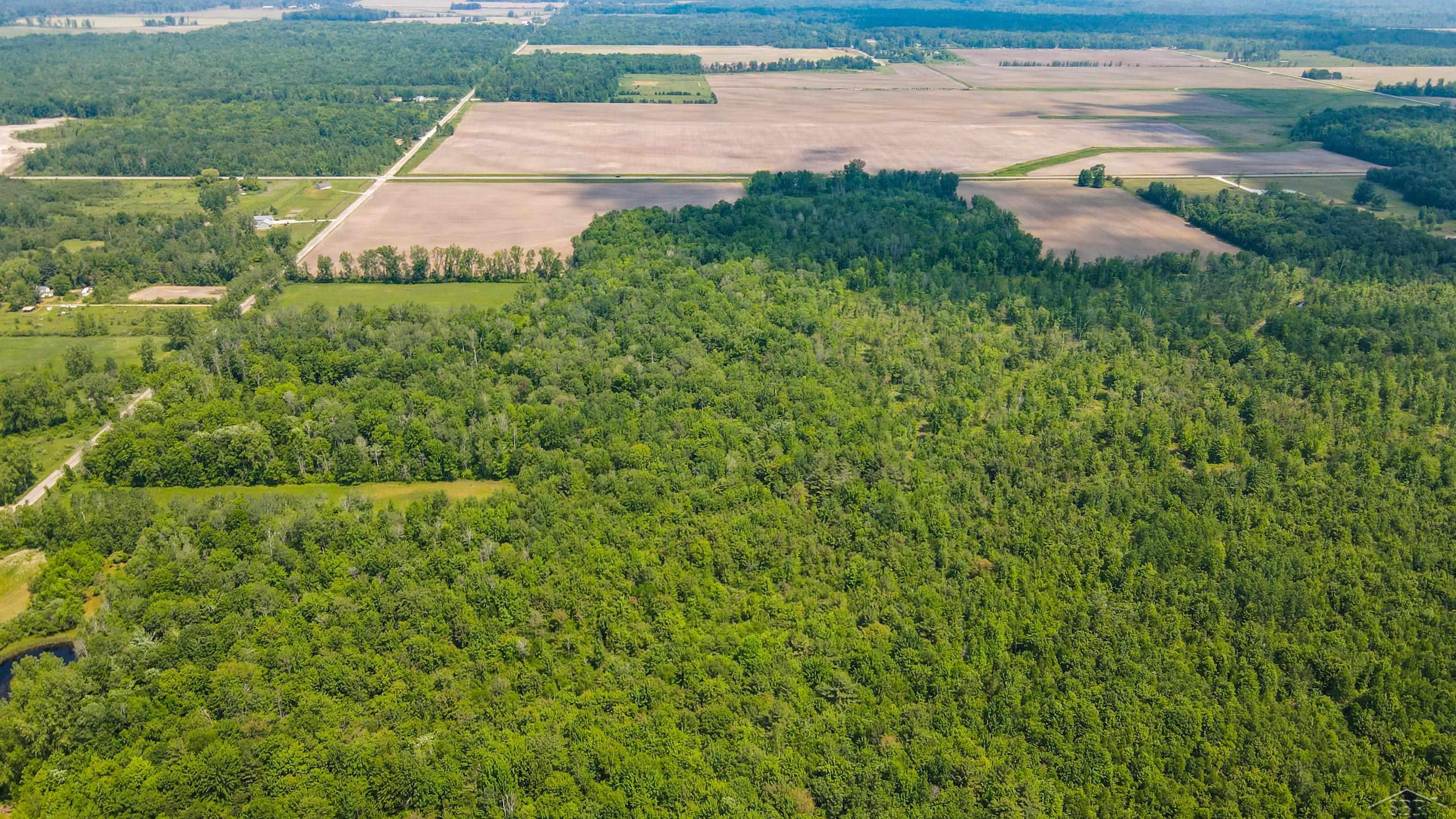0 Carter Pinconning, MI 48650 - Photo 15 of 29 50108167-14.JPG