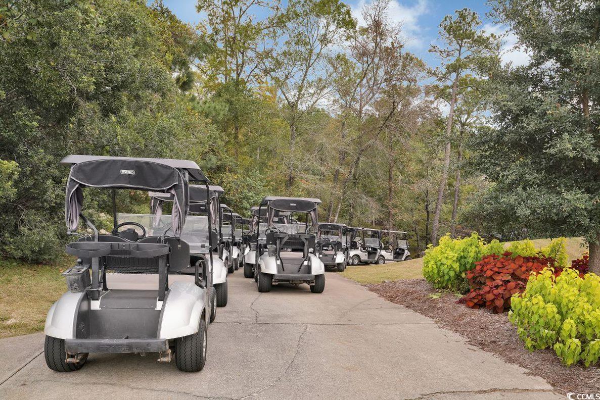 1006 Cherrystone Loop Conway, SC 29526 - Photo 30 of 38