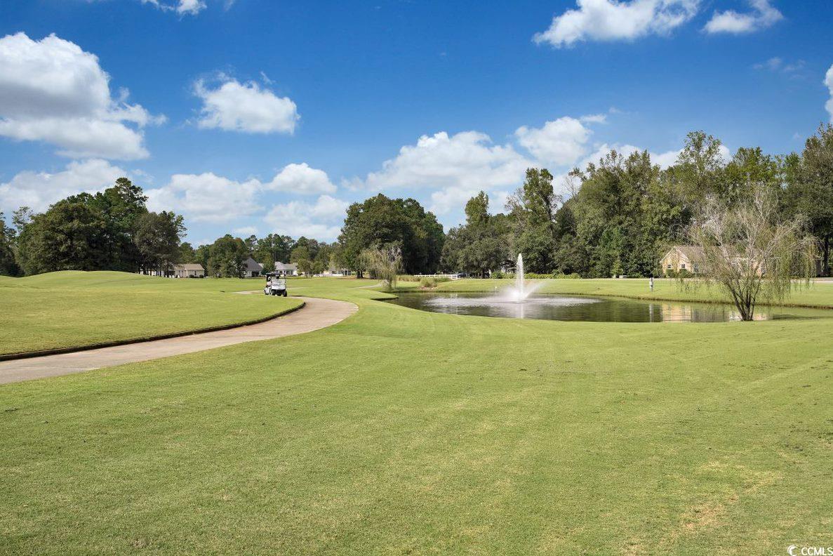 1006 Cherrystone Loop Conway, SC 29526 - Photo 31 of 38