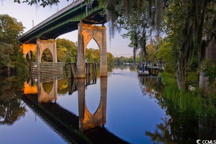 1006 Cherrystone Loop Conway, SC 29526 - Photo 33 of 38