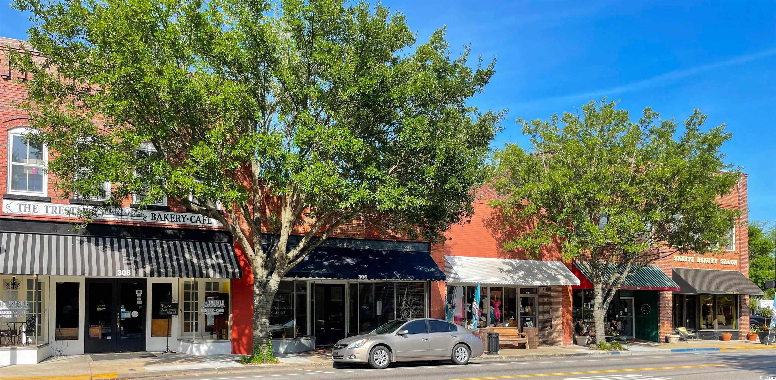 1006 Cherrystone Loop Conway, SC 29526 - Photo 38 of 38