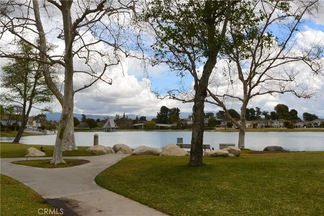 a lake view with a bench under large tree