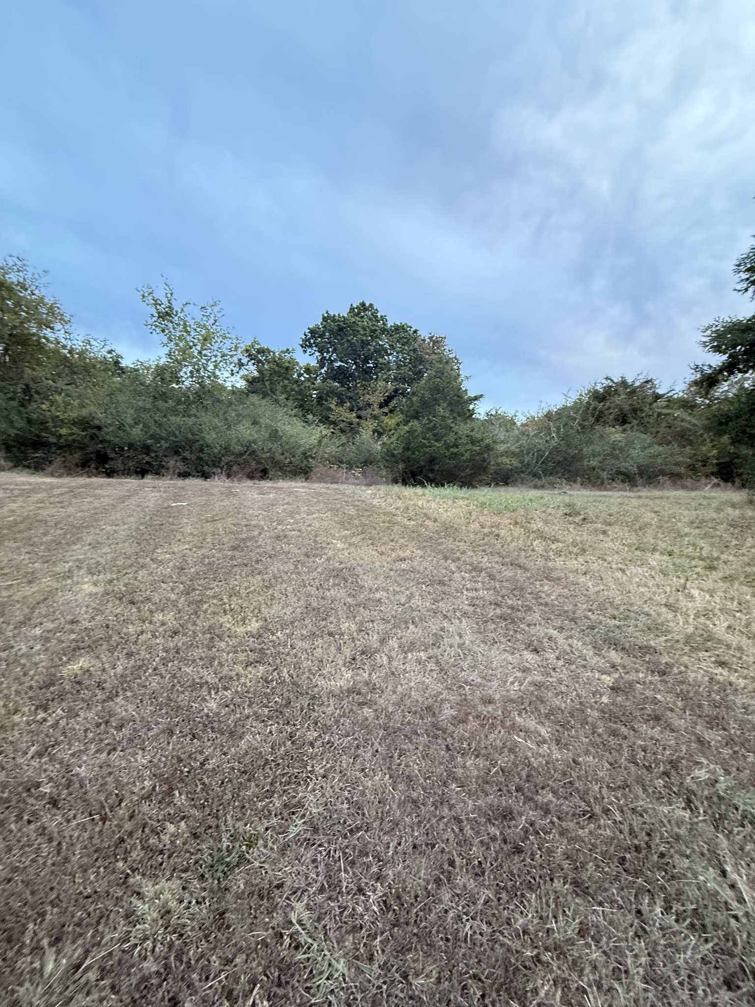 0 New Town Road Watertown, TN 37184 - Photo 1 of 2 a view of an outdoor space and a yard