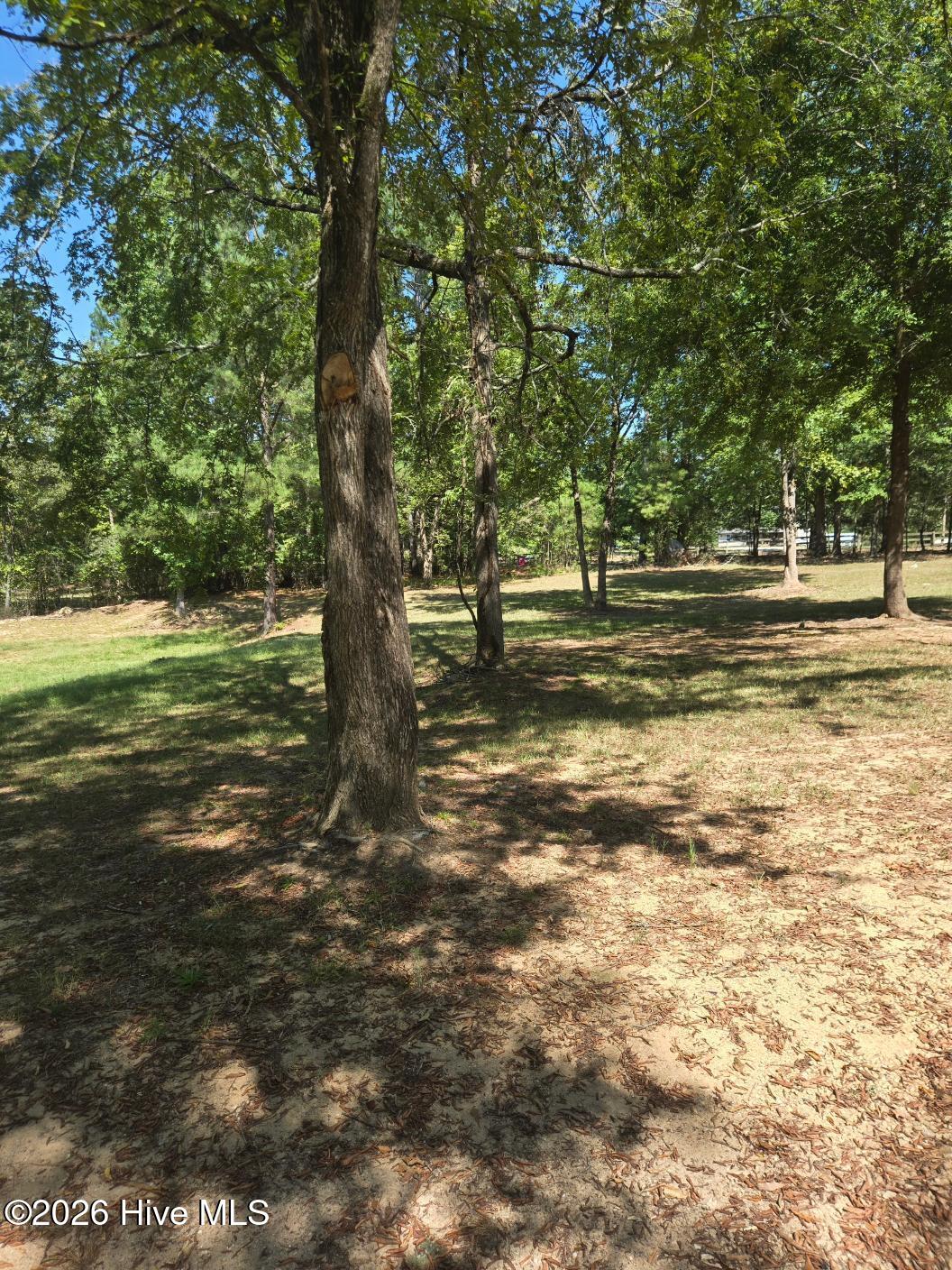 1105 Cedar Road Lincolnton, GA 30817 - Photo 7 of 23 Gallery Image 7