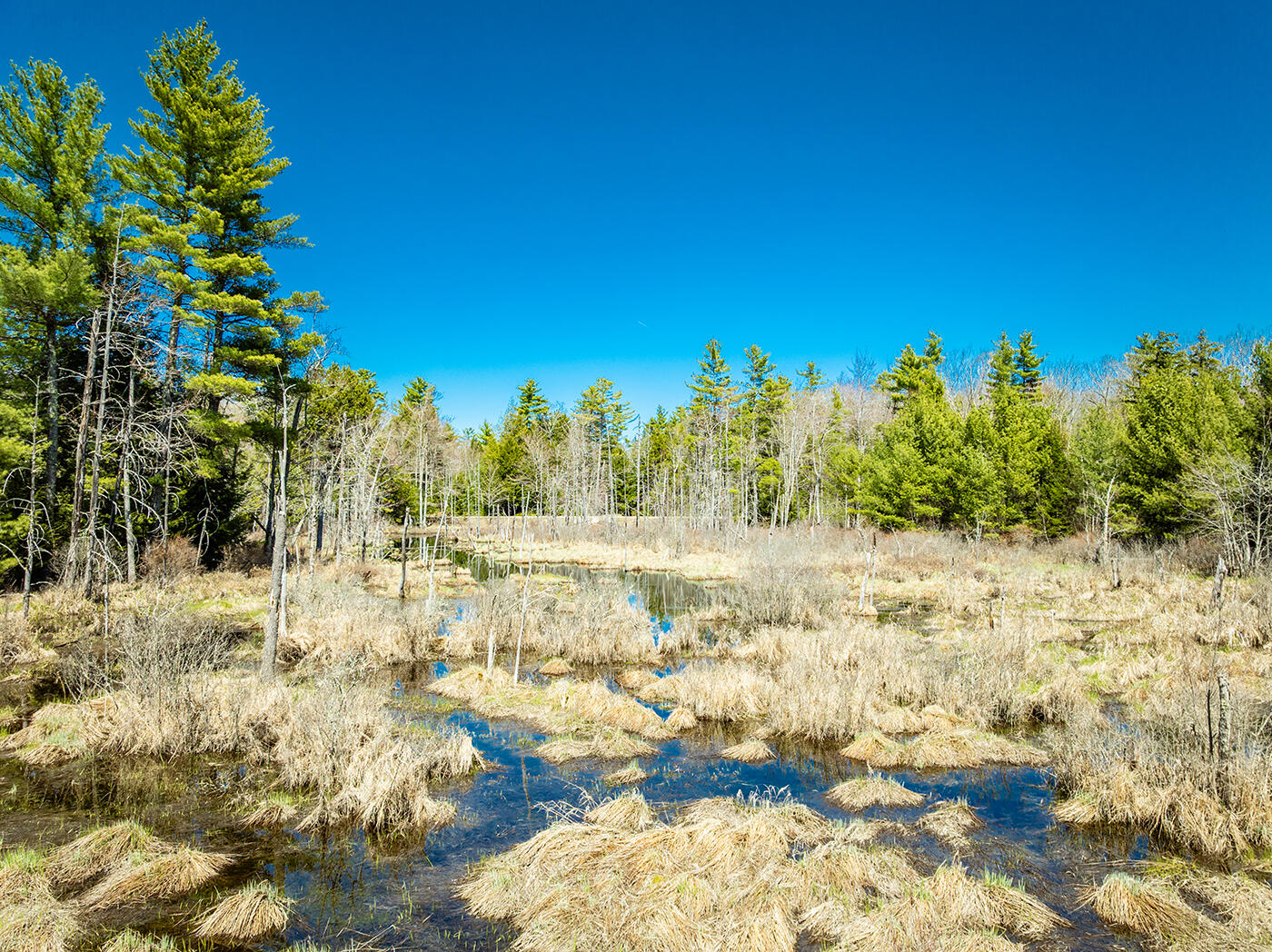 Map2-lot21 Howes Cove Road Liberty, ME 04949 - Photo 10 of 11 DJI_0172