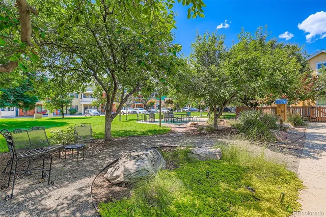 a view of a park with large trees