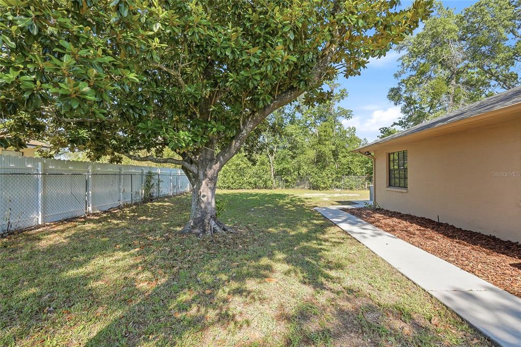 3450 Dow Lane Spring Hill, FL 34609 - Photo 39 of 44