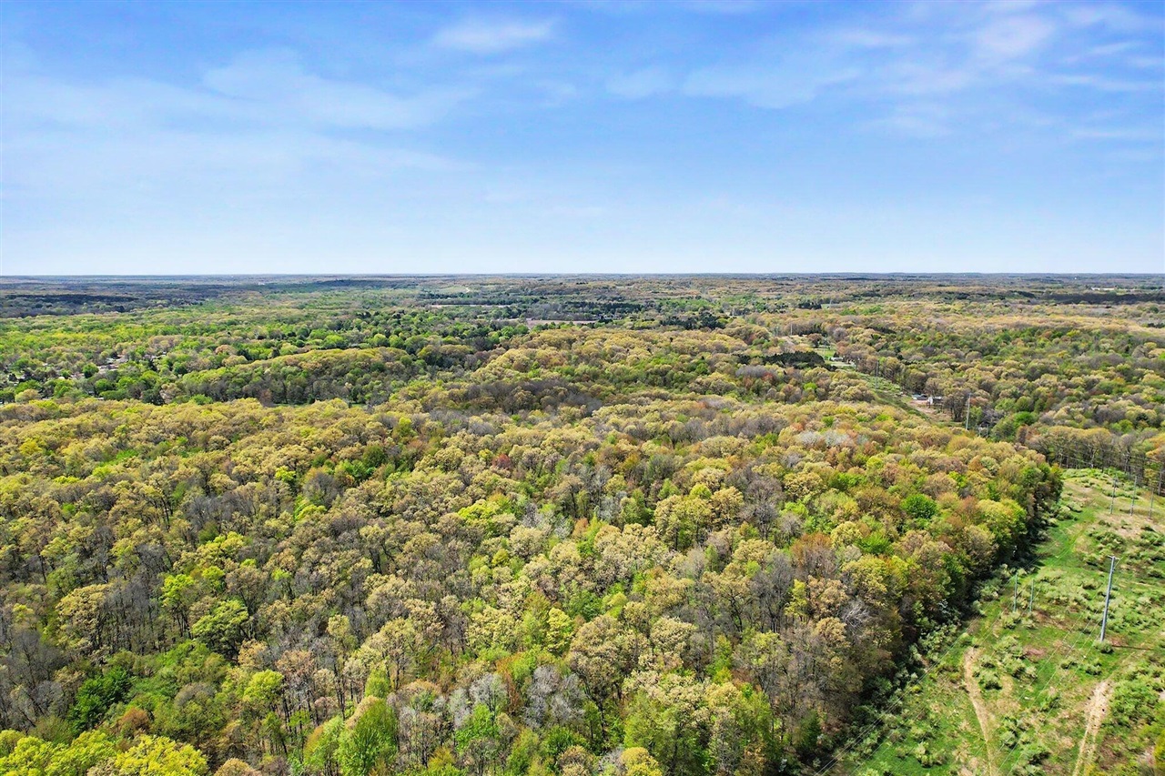 North Uldriks Road Battle Creek, MI 49017 - Photo 12 of 13