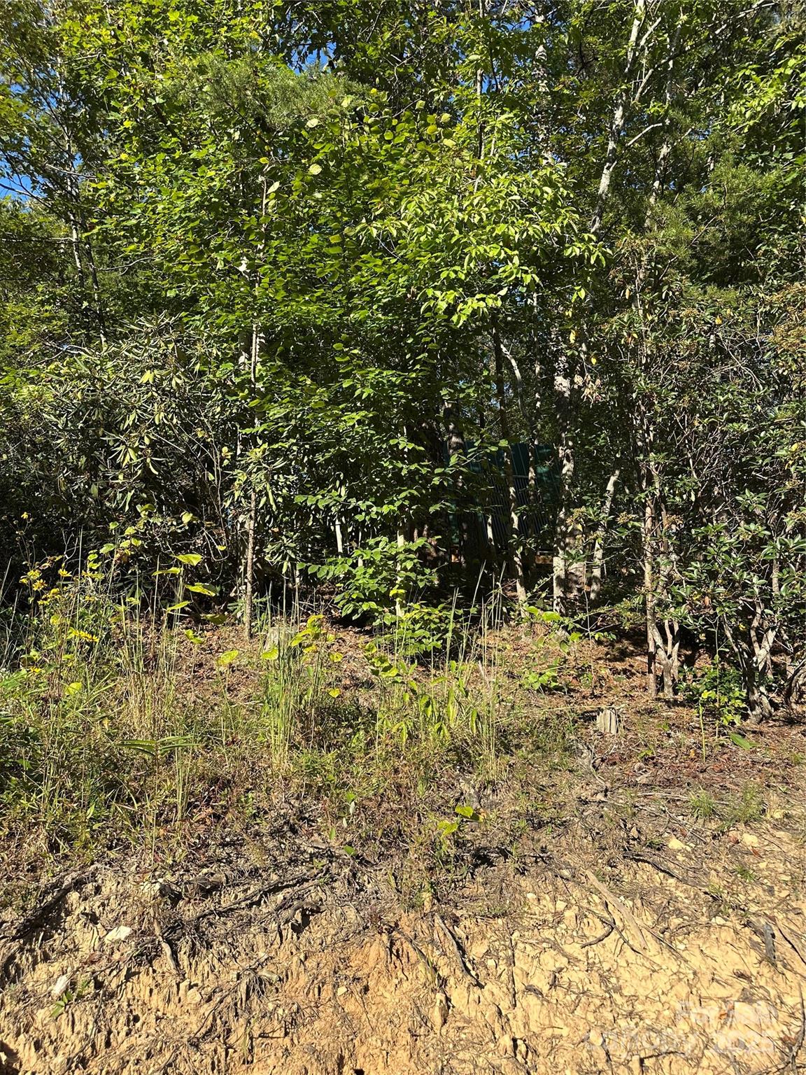 0 Wildlife Lake Road Old Fort, NC 28762 - Photo 21 of 21 a view of a yard