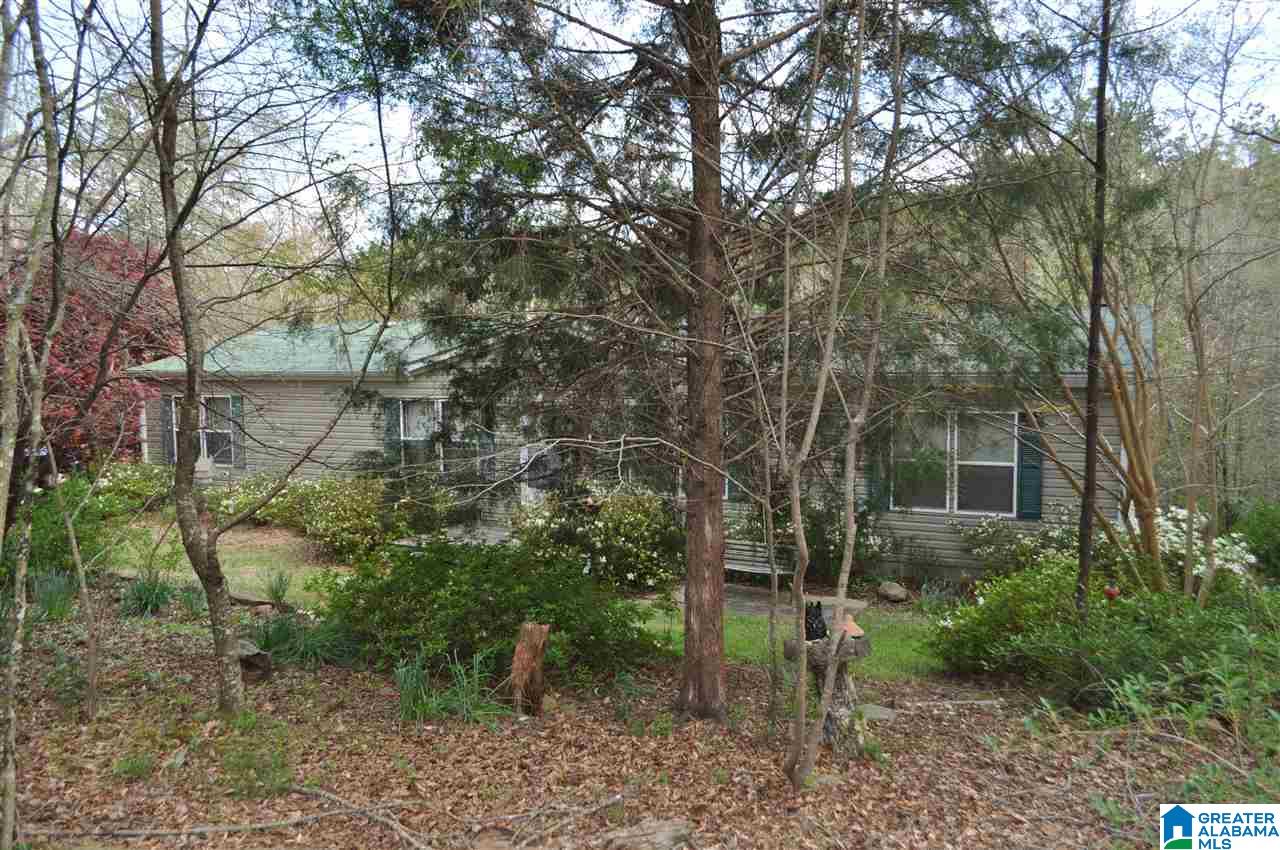 36 River Run Circle Lineville, AL 36266 - Photo 4 of 31