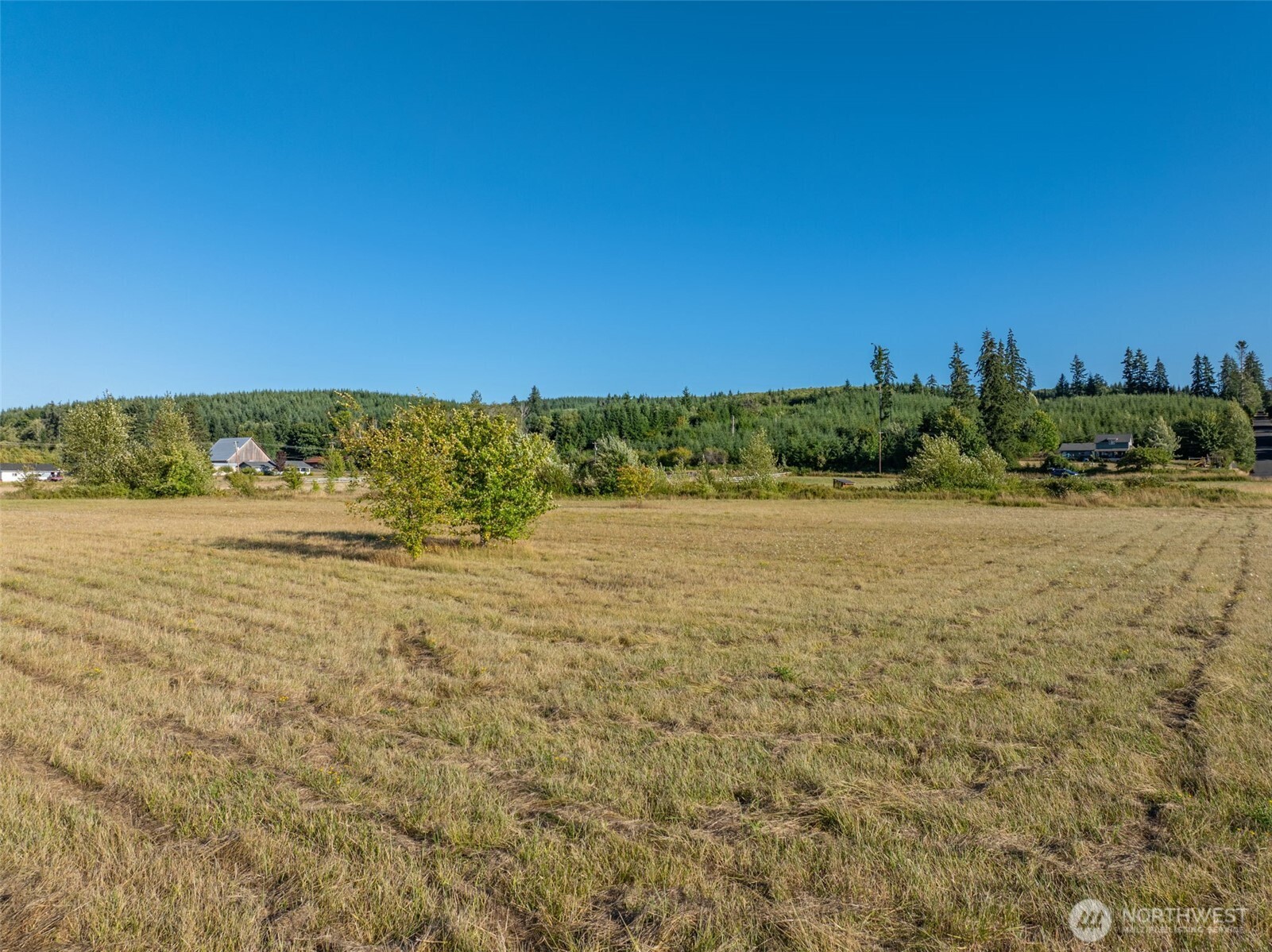 785 Pe Ell McDonald Road Chehalis, WA 98532 - Photo 22 of 29 Gallery Image 22