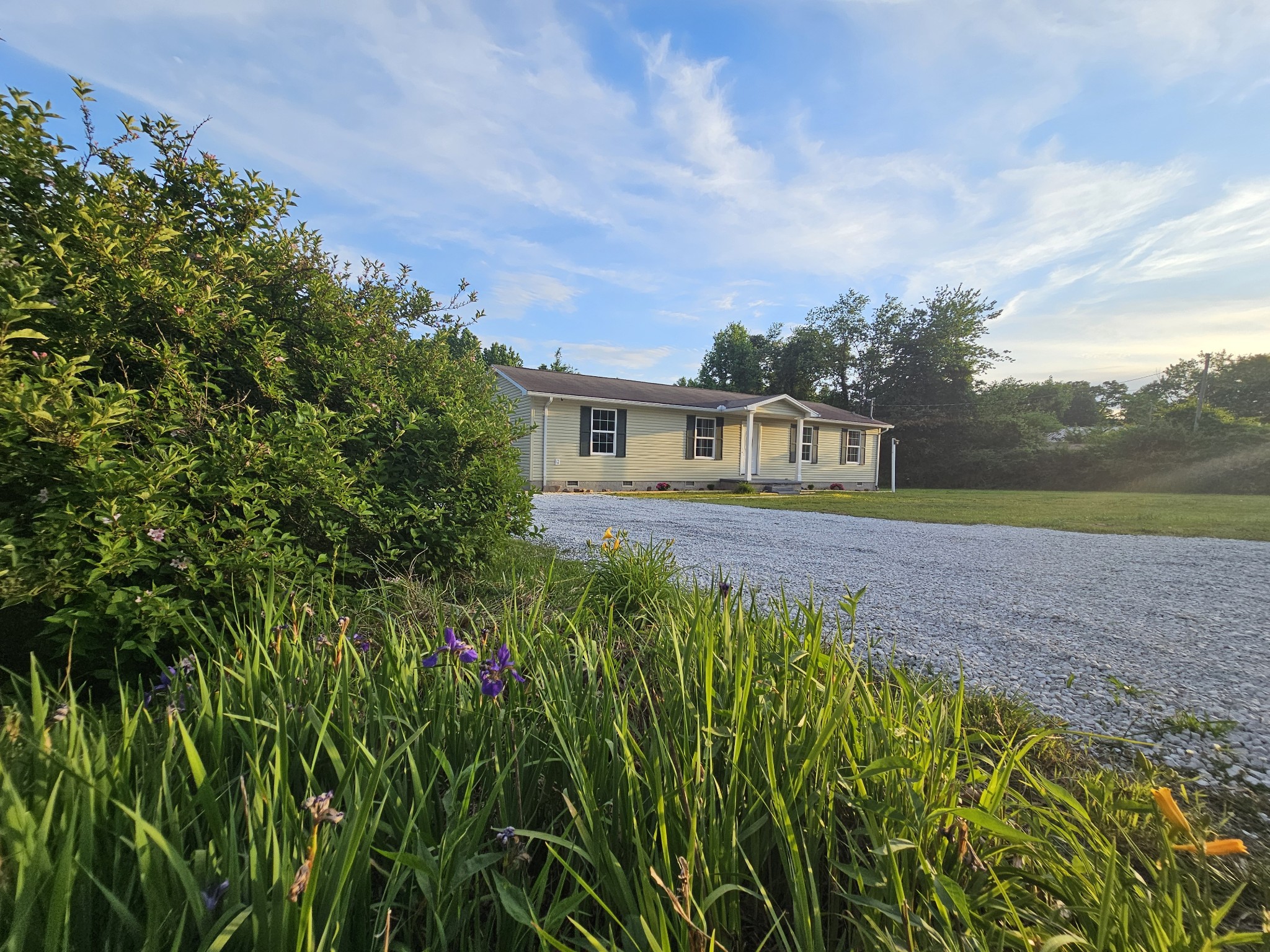 362 Forest Point Road Monteagle, TN 37356 - Photo 8 of 42 a view of house with front yard