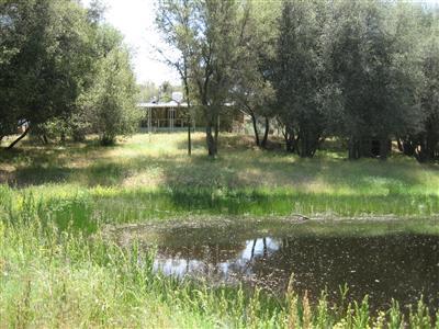 32556 Lodge Road Tollhouse, CA 93667 - Photo 1 of 25 Gallery Image 1
