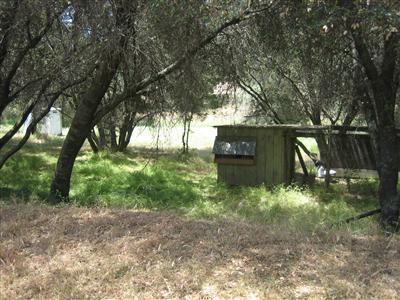 32556 Lodge Road Tollhouse, CA 93667 - Photo 11 of 25 Gallery Image 11