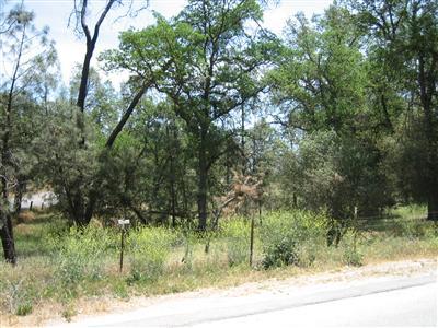 32556 Lodge Road Tollhouse, CA 93667 - Photo 3 of 25 Gallery Image 3