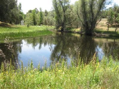 32556 Lodge Road Tollhouse, CA 93667 - Photo 25 of 25 Gallery Image 25
