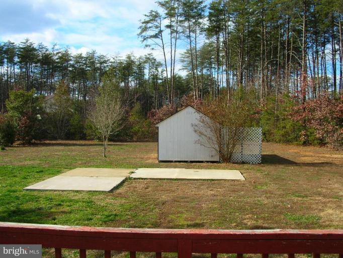 Back yard
