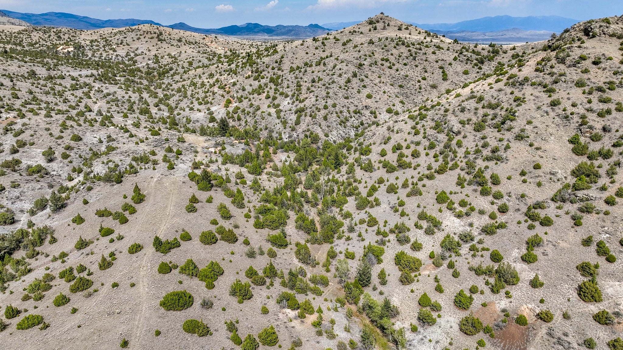 Tbd Tbd Johnny Gulch Road Toston, MT 59643 - Photo 41 of 48 Gallery Image 41