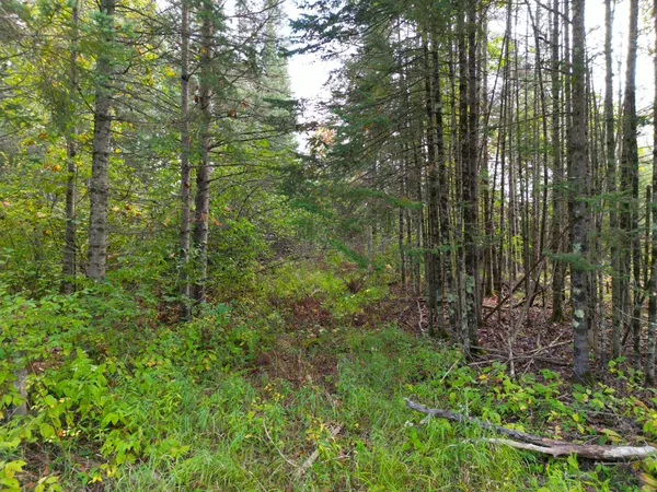 $140,000 | 13450 Swedish Highway, Dairyland, WI 54830