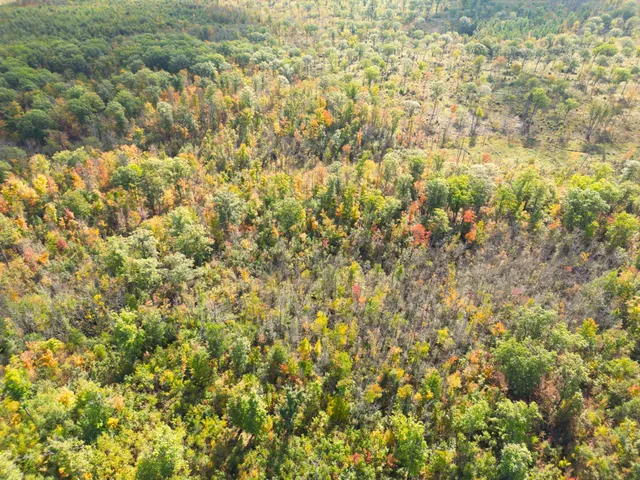 $144,000 | 13450 Swedish Highway, Danbury, WI 54830