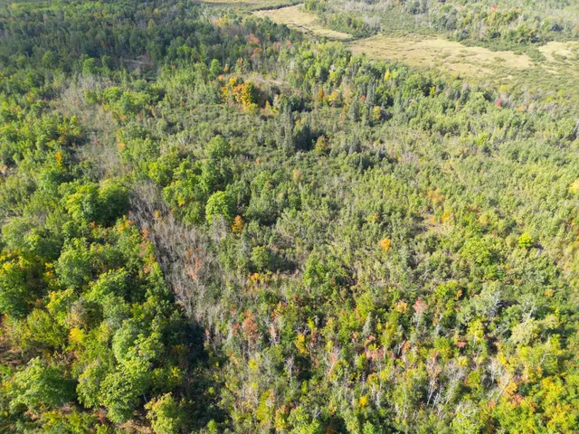 $144,000 | 13450 Swedish Highway, Danbury, WI 54830